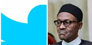 TwitterBan: Unemployment to increase, economic woes to worsen, NESG, experts warn