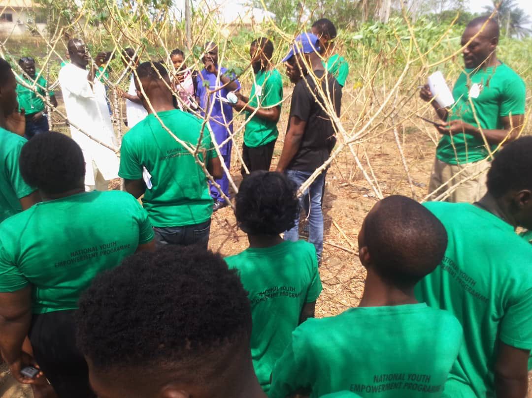 FG Tasks Youth On Agro-Allies Ventures