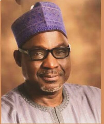 Your government defines profligate lifestyles, PRP tells Tinubu 1 images 2024 10 30T063003.641