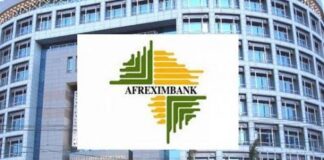 Lagos Cashew Processing Plant: Starlink Global Secures $20.8m Afreximbank Loan