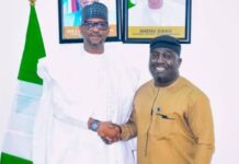 Masterstroke As NSC Constitutes Diaspora Talent Discovery Committee