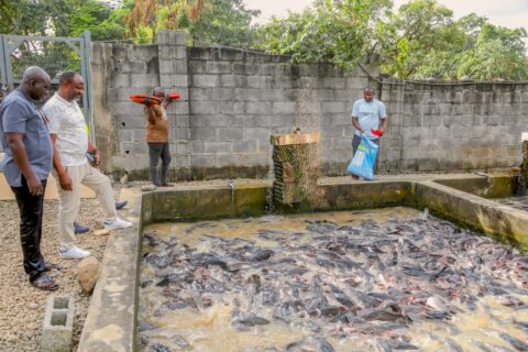 Behold Abuja Amazon Kayak, Aqua Garden Where Nature Meets Fun, Businesses 5 IMG 20241218 WA0230