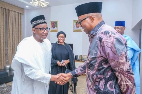 2027: I am ready to work with Peter Obi, says Bauchi governor 1 FB IMG 1741934718401
