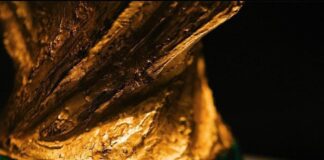 FIFA mandates half-time TV access, pre-match media duties for 2026 World Cup