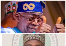 NBBF President Ahmadu Musa Kida Throws Weight Behind Tinubu’ Sports Reforms ; Pledges Support For NIS Revamp