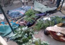 When Will the Bloodlettings in Nigeria Stop?