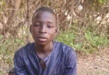 Troops Arrest Teenage ISWAP Logistics Courier in Borno, Link Suspect to Jilli Strikes