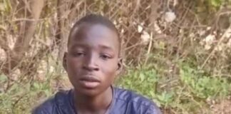 Troops Arrest Teenage ISWAP Logistics Courier in Borno, Link Suspect to Jilli Strikes