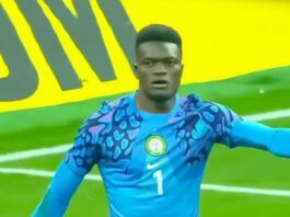 Super Eagles Goalkeeper Samuel James Earns High Rating in Finland