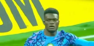 Super Eagles Goalkeeper Samuel James Earns High Rating in Finland